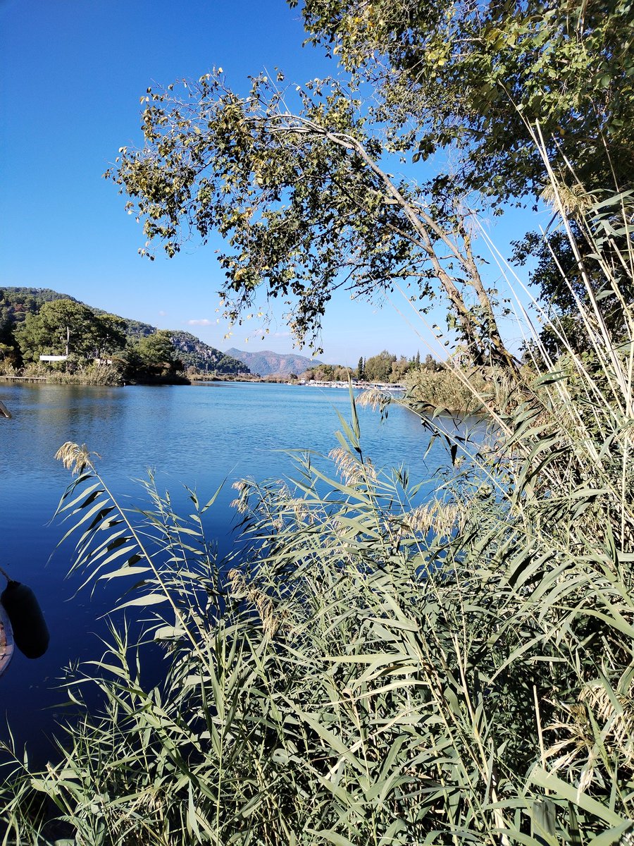 Günaydın mutlu pazarlar