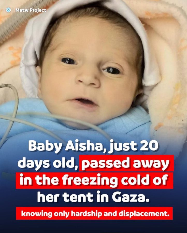 AbujomaaGaza's tweet photo. Did you know her?! https://t.co/iTeAiXv9ch