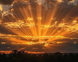Sunrise hues painting the sky, a symphony of colors. #naturelovers #goodmorning