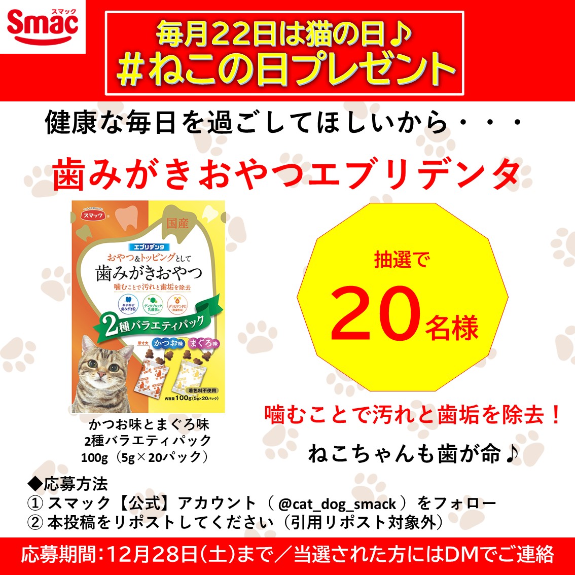 cat_dog_smack's tweet photo. /
毎月22日は #ねこの日 #プレゼント
\

かわいいけど舐められるとちょっと💦
歯みがきおやつ「エブリデンタかつお味とまぐろ味100g」を20名様に🎁
おいしく食べてデンタルケアしましょ♪

■応募方法
1️⃣@cat_dog_smackをフォロー
2️⃣本投稿をリポスト（引用リポスト対象外）
■〆切 12/28（土）23:59 https://t.co/qJC4FijWgz