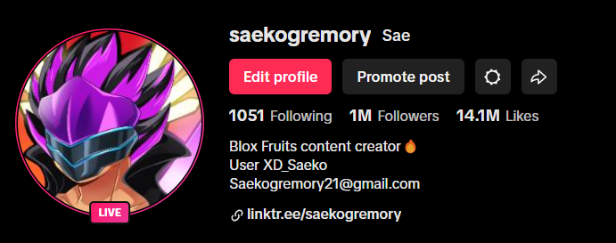 Sae (@saekogremory21) / Posts / X