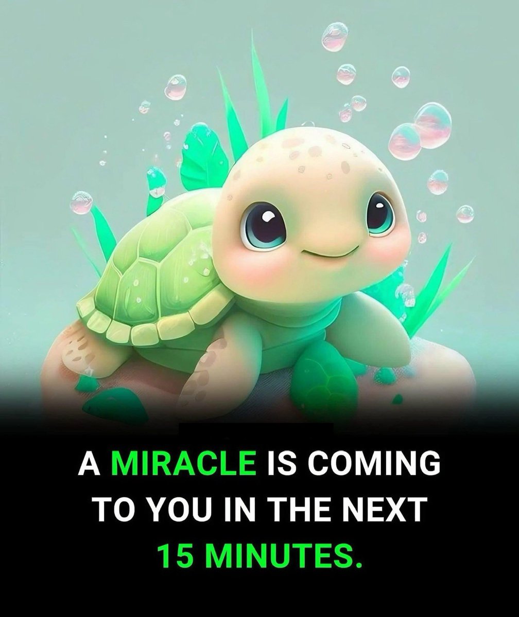 Law Of Attraction Coach tweet media
