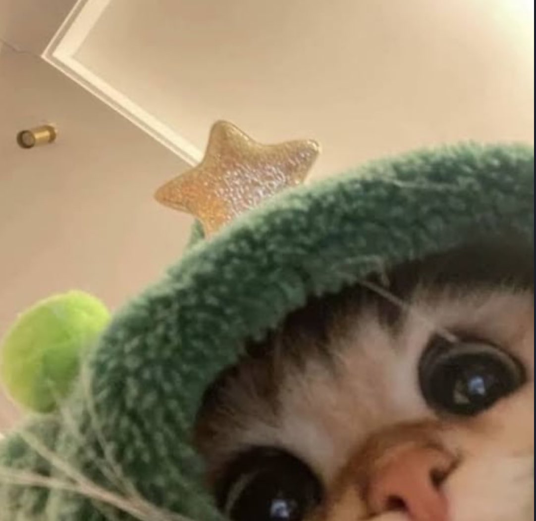 CryptDylan's tweet photo. i'd like to welcome $cou
the newest member to my #catfolio 

now go be great lil one  🥹

JBime1a8wXPdG6bQtHMtFarwu5vEEAGypWo5oDuepump https://t.co/el3UFKp8hb