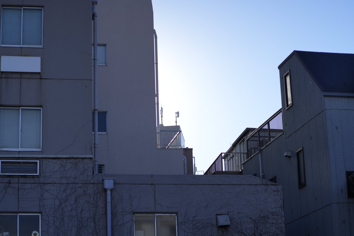 west_db1bott's tweet photo. 天気がいいのに仕事をしてる週末。
息抜きにレンズテスト
我が家の85mm前後の解像度ランキング
1位(1枚目) Otus85mm
2位(2枚目) Summarex85mm
3位(3枚目) Contax 645Planar80mm
summarexは、1950年製造でOtusの次って。。。
#Cosina
#Otus
#Summarex
#Contax
#Contax645 https://t.co/5bCokAOp2H