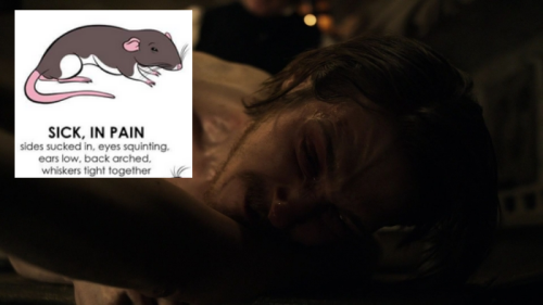 AlysofBath's tweet photo. https://t.co/BfPFkwOI0H