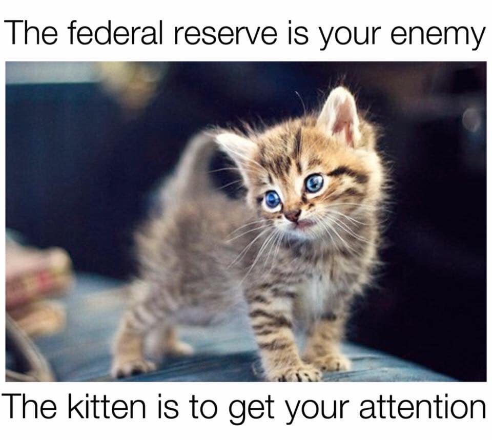FreeRossNow's tweet photo. It's time to End the Fed!
Kill the Beast from Jekyll Island, which has been feeding on the American people for over a century.
#MidnightMemeTime https://t.co/cMpTKiUtr0