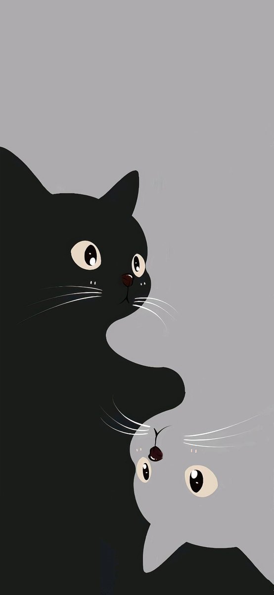 🖤🩶 Cats Wallpaper  🩶🖤
