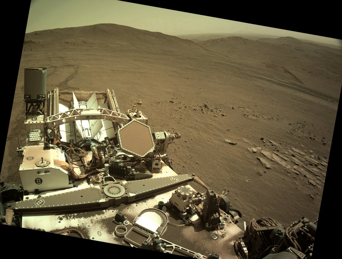 Alive Universe tweet media