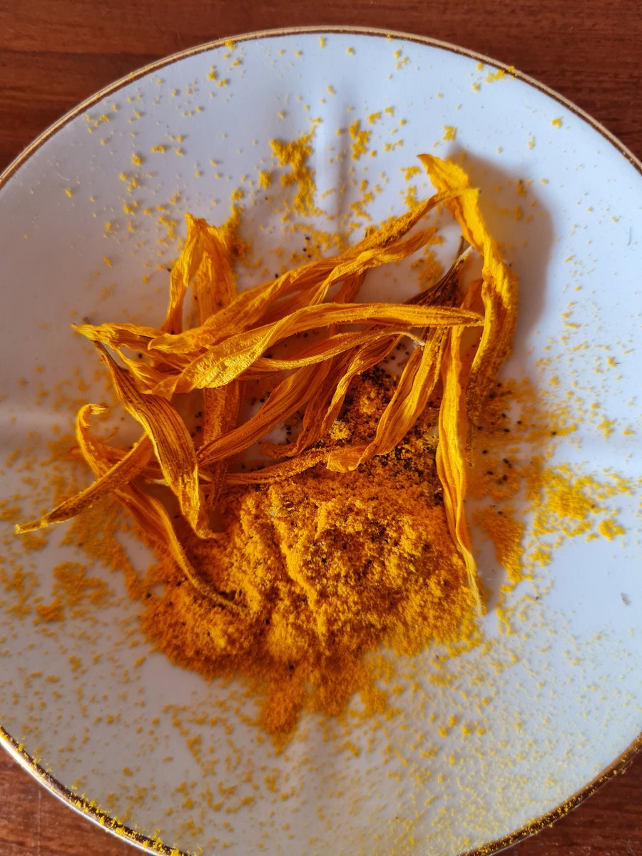 Questi sono i fiori di girasole che ho raccolto nel mese di luglio, nelle campagne di Montelupo Fiorentino. Ora dovrò impastarli, con la resina dei pini marittimi, per farci un colore che mi servirà a dipingere uno dei miei quadri. Sentivo il bisogno di dirvi questa piccola cosa.