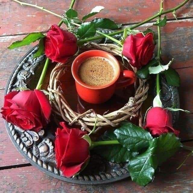 صباح الخير 
صباح الورد والياسمين 
على الطيبين الغاليين❤️❤️ 

صباح السعادة والمحبة❤️