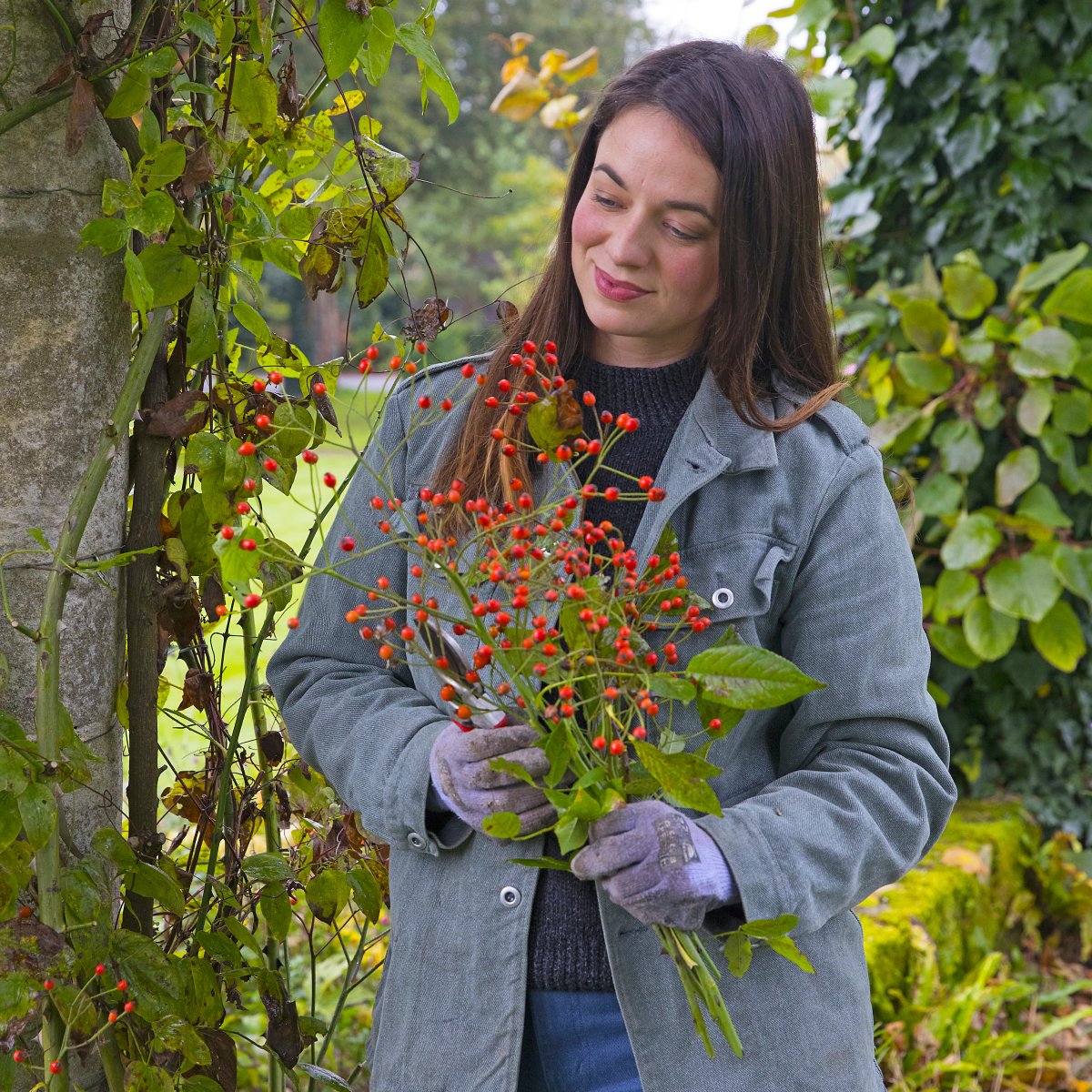 BBC Gardeners' World Mag tweet media