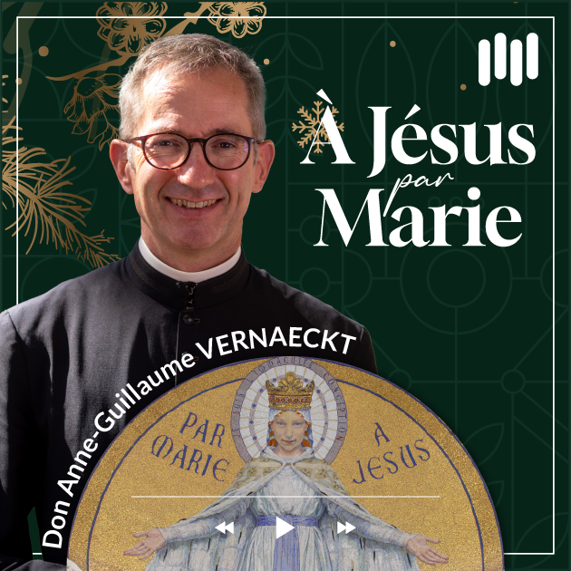 Sanctuaire Notre-Dame de Lourdes tweet media