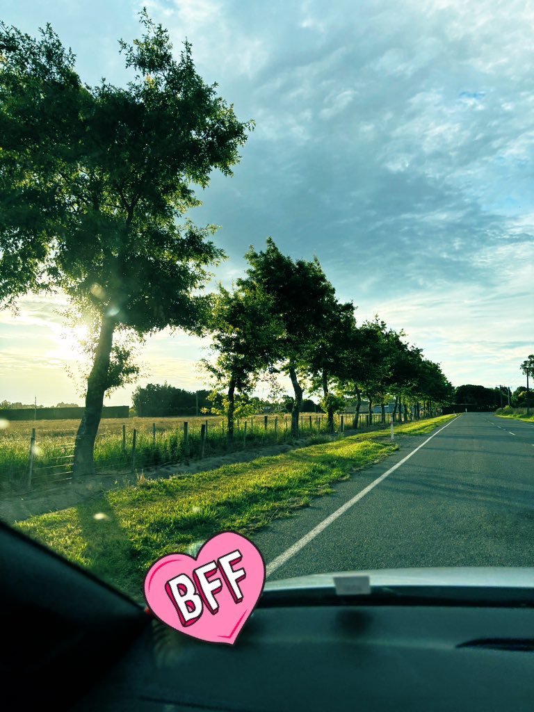 傍晚 行驶在乡村公路上 迎着夕阳 耳边是从大开的车窗吹来的风和随意播放的音乐声 夏天是这样过的