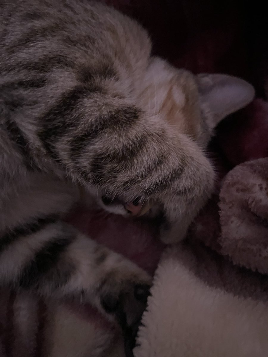 黄推福利内容 - C的精彩图片 福利姬C分享的黄推图片2 - 网红私拍内容