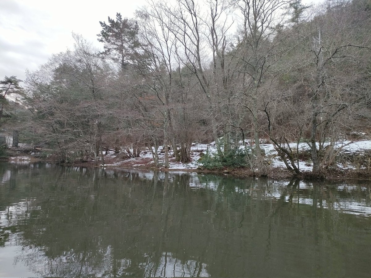Dr_LEO_LABO's tweet photo. 12月21日ハミングバード通天湖にボート釣りにチャレンジ！
既に雪が積もっています(笑)
ディープクラピーで大物HITしたのですが釣り上げる直前に痛恨バラシ💦その後は底物ルアーのシャインライドで連発HITですが、ロストしてあえなく終焉...
来年また来ます〜♪
#管理釣り場 
#トラウト https://t.co/9N0wXXDUQg