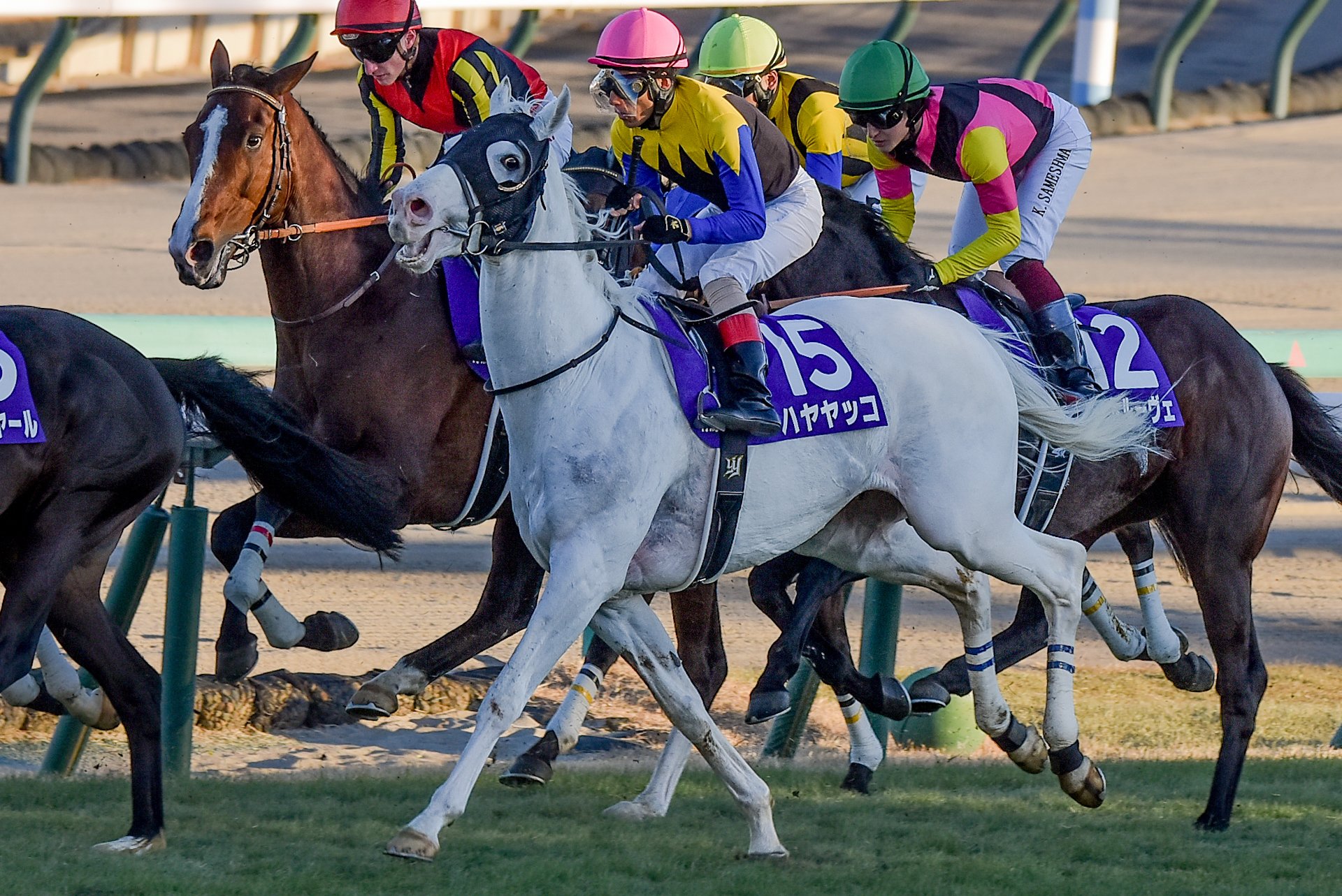 JRA 想い出馬券ホルダー 有馬記念 2024 見い出せ レガレイラ