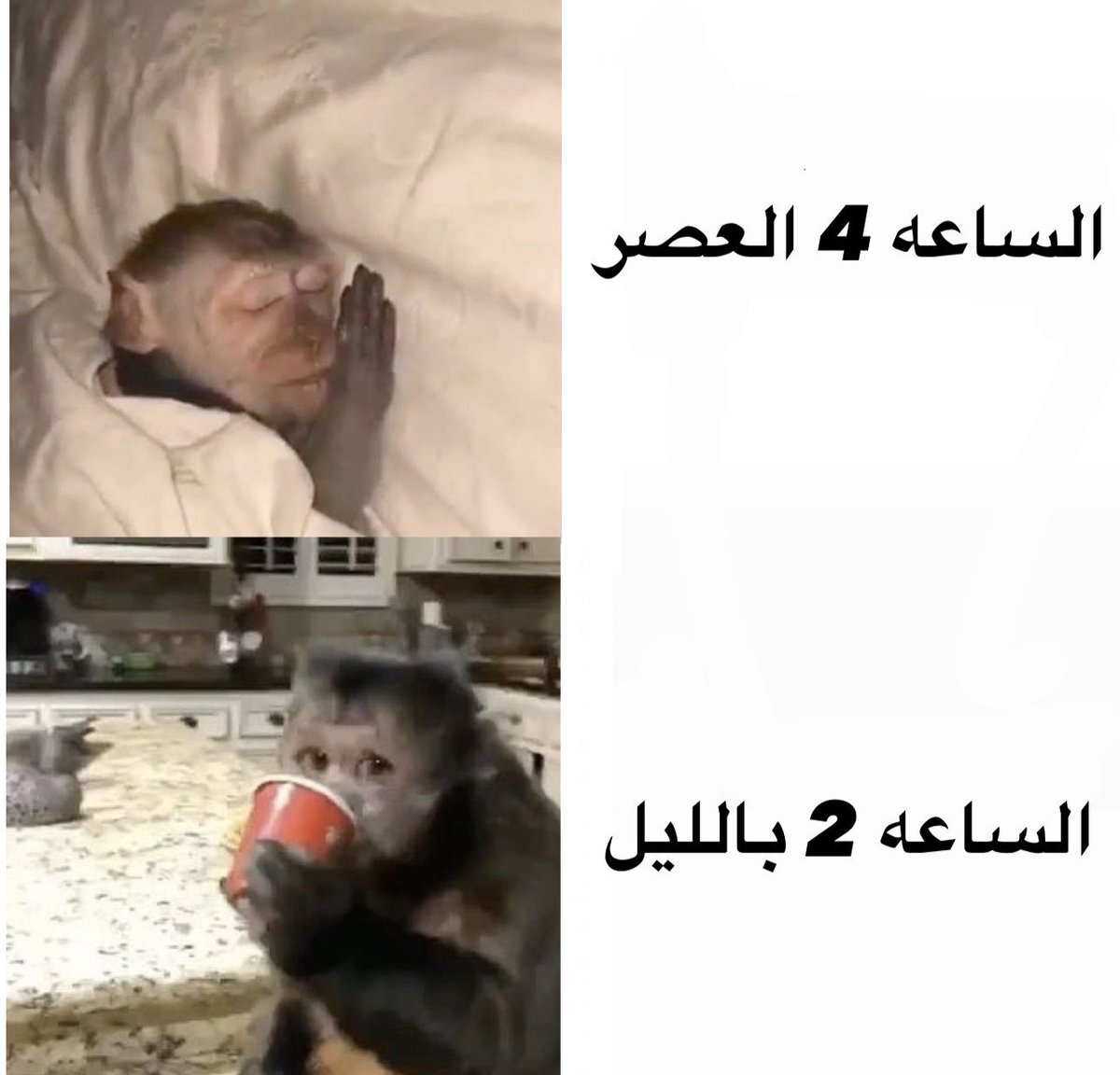 منصور (@i14nn) on Twitter photo 