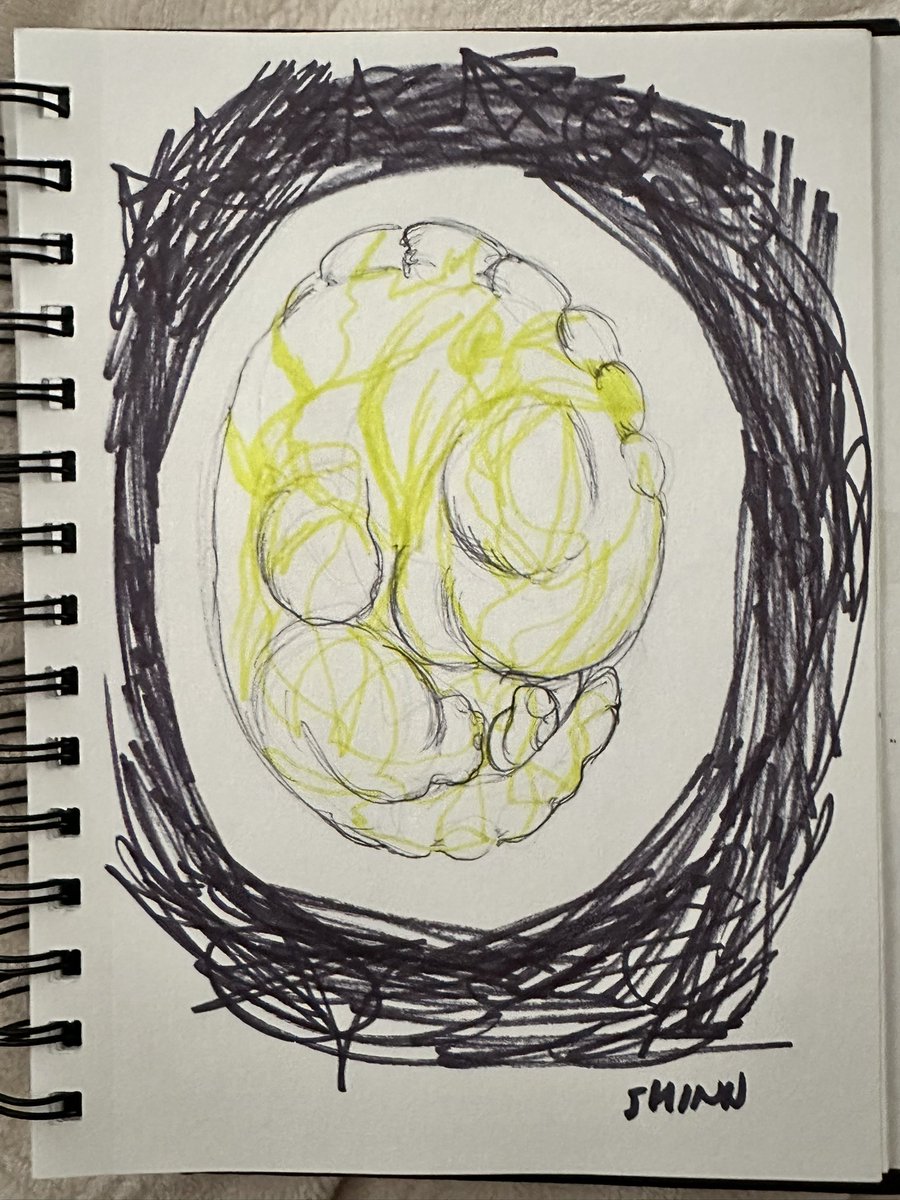 HoraToraStudios's tweet photo. Gestation: All good things come to fruition.
#thearcanecollection
Go to link in bio or HERE: https://t.co/fwpqHle9fn https://t.co/2EWdPjmSgg