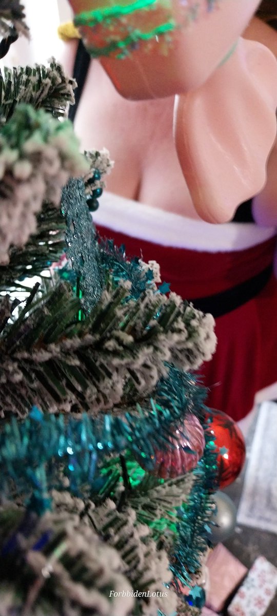 ForbbidenLotus's tweet photo. #Xmas #MrsSanta #milf
Bis zum 26.12 darf ich Mrs Santa sein😍😍
Wer möchte eine kleine Bescherung schon haben??? https://t.co/s6AzZSyj6P
