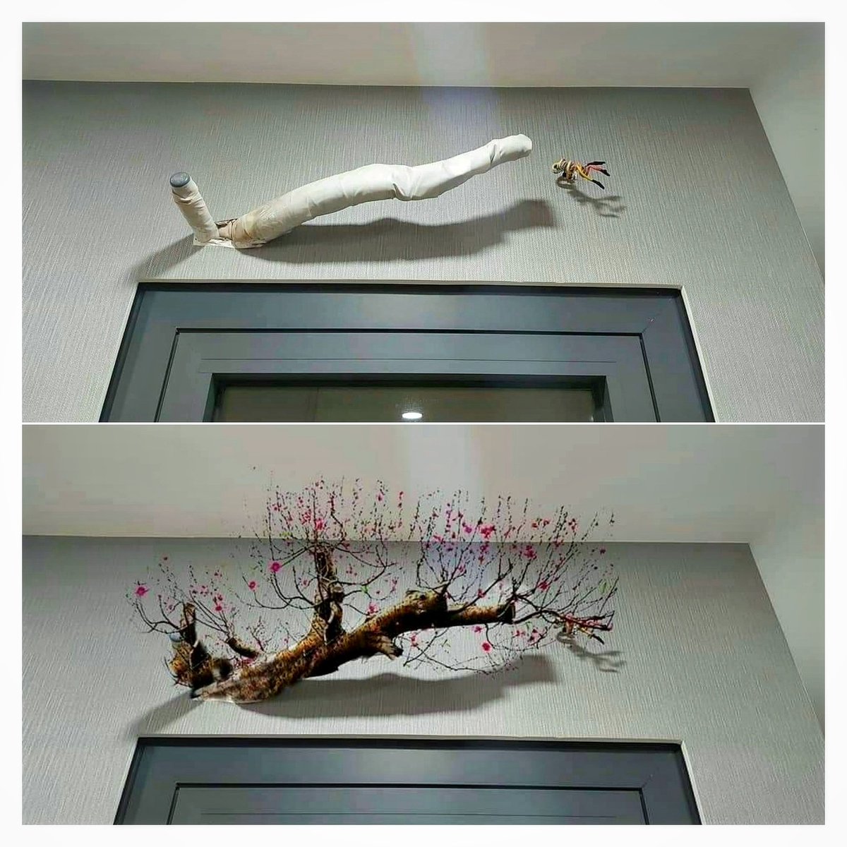 Minh Đoàn tweet media