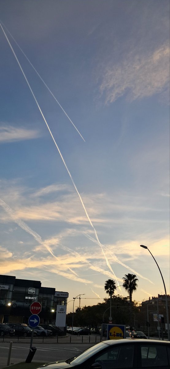 eoeeeeeeeeeeeee's tweet photo. #geoingenieria #bioterrorismo #sequiainducida #bioterrorismo #dediaydenoche #AEMET #traficoaereo #gobiernodeldesproposito #nosenferman https://t.co/AoxmlpJC0v