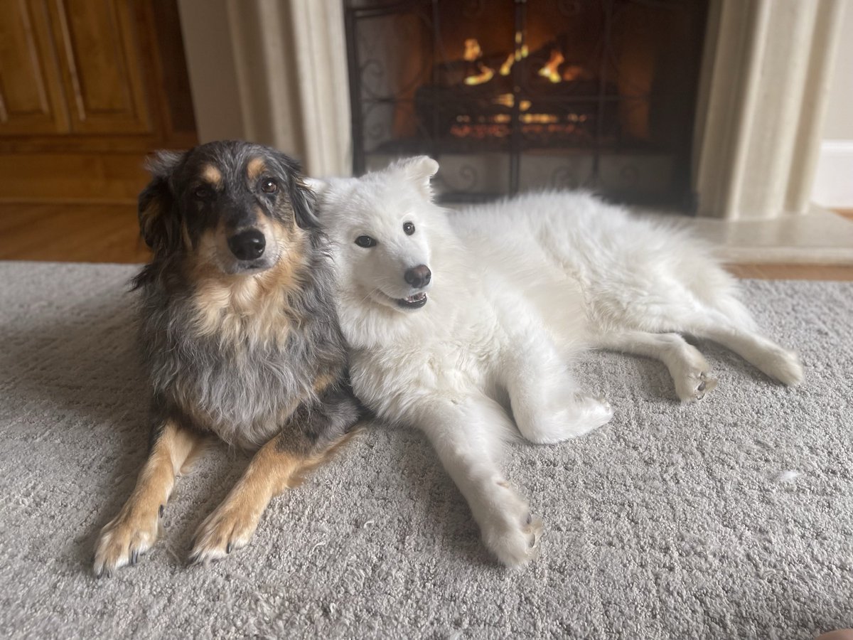 Roger Rice tweet media