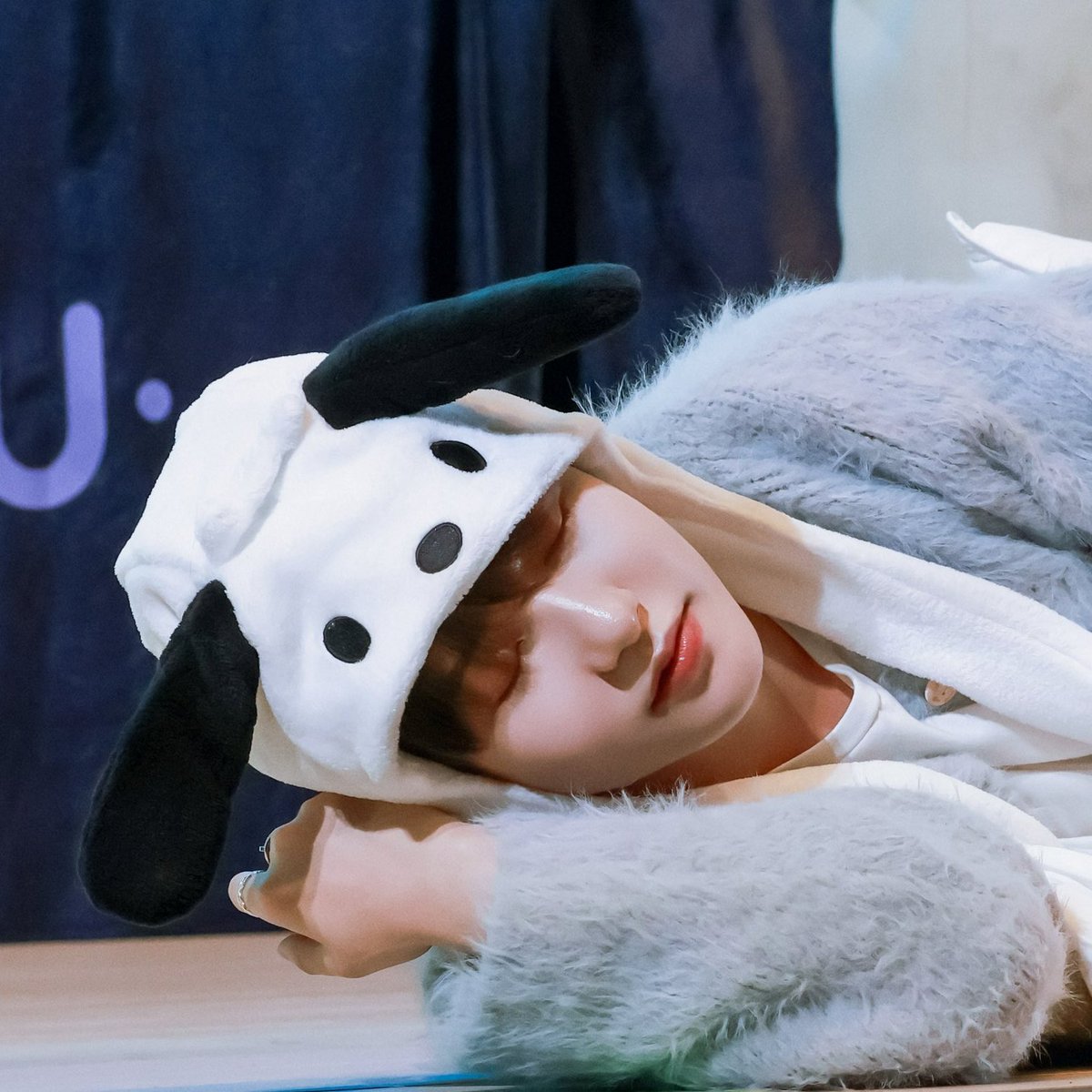 renjuniejunjun's tweet photo. pochaccojun 💙💤 https://t.co/ayTE6ipUbq