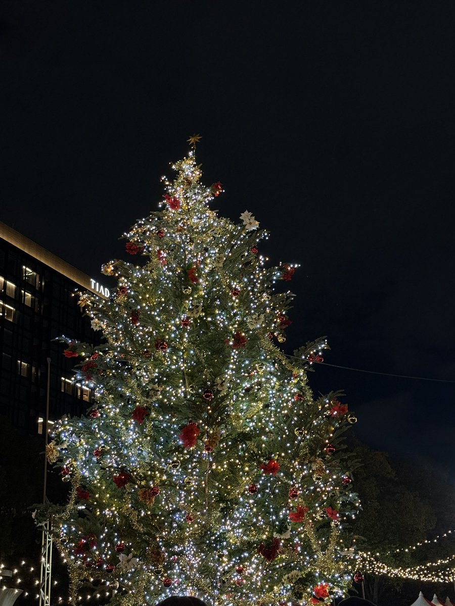 oe4k3's tweet photo. 🎄✨ https://t.co/igOXlF7YKY