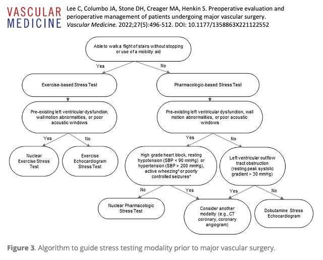 VascularMedicine (@vmj_svm) on Twitter photo Day 11 of #12DaysofVascularMedicine: "Preoperative evaluation and perioperative management of patients undergoing major vascular surgery" by Lee et al buff.ly/3BCiqms <a href="/stanhenkin/">Stanislav Henkin</a> <a href="/DrMarkCreager/">Mark Creager</a> Day 11 of #12DaysofVascularMedicine: "Preoperative evaluation and perioperative management of patients undergoing major vascular surgery" by Lee et al buff.ly/3BCiqms <a href="/stanhenkin/">Stanislav Henkin</a> <a href="/DrMarkCreager/">Mark Creager</a>
