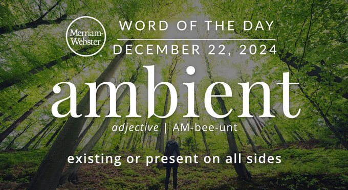 Merriam-Webster Word of the Day December 22, 2024 'ambient' adjective | AM-bee-unt "existing or present on all sides" Background Image: the forest 