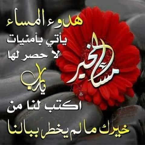 Abdullah M. H. / ابو محمد (@abdallamh3) on Twitter photo #همسة_للغالين..👇
السعادة لا تحتاج إلى معجزات.. كلّ ما تحتاجه قلب متسامح، ووجه مُبتسم، وقناعة بالرزقِ والنصيب، وثقة تامّة بالله، ورضا بما قسم الله.. وتذكر أن من أسباب السعادة لساناً حامداً في السراء والضراء..
#أسعد_الله_مسآئكم_أحبتي_الكرام..🌹💚 #همسة_للغالين..👇
السعادة لا تحتاج إلى معجزات.. كلّ ما تحتاجه قلب متسامح، ووجه مُبتسم، وقناعة بالرزقِ والنصيب، وثقة تامّة بالله، ورضا بما قسم الله.. وتذكر أن من أسباب السعادة لساناً حامداً في السراء والضراء..
#أسعد_الله_مسآئكم_أحبتي_الكرام..🌹💚