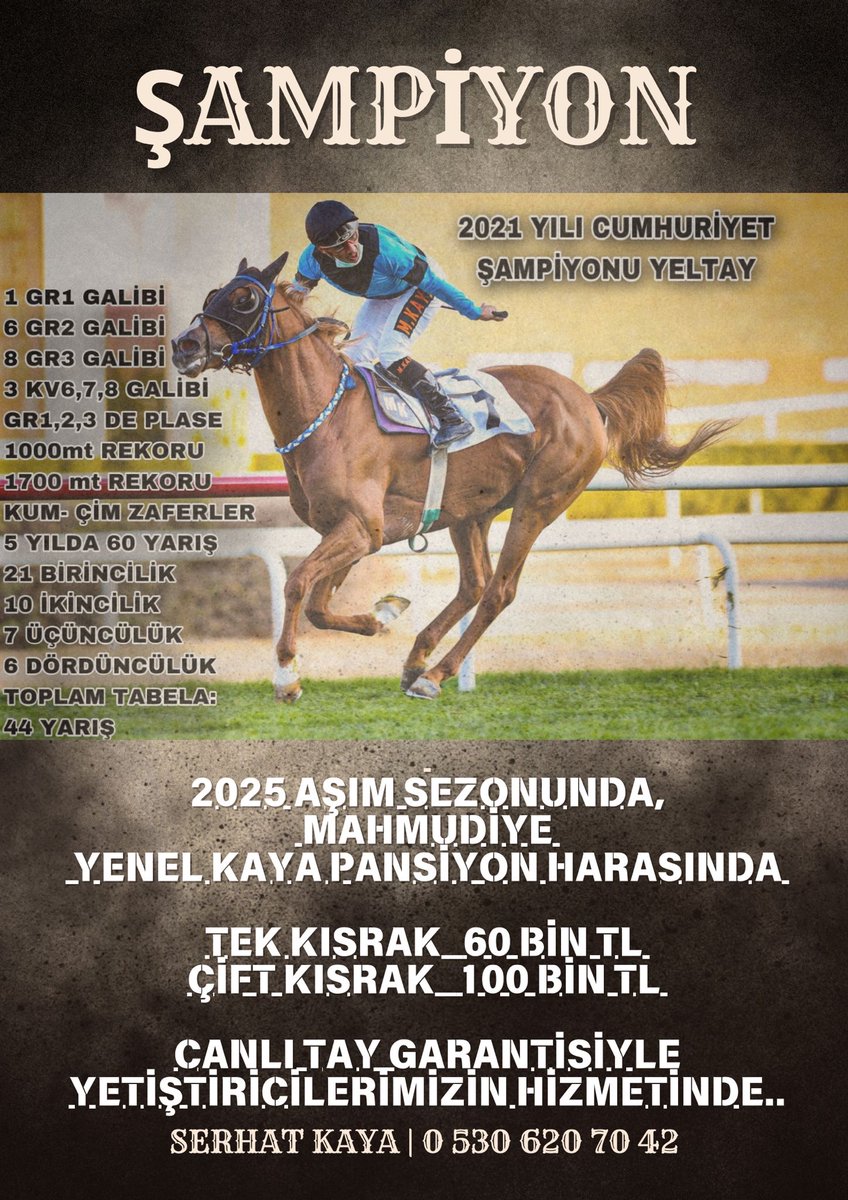 Şampiyon YELTAY 🔥🔥🔥🔥