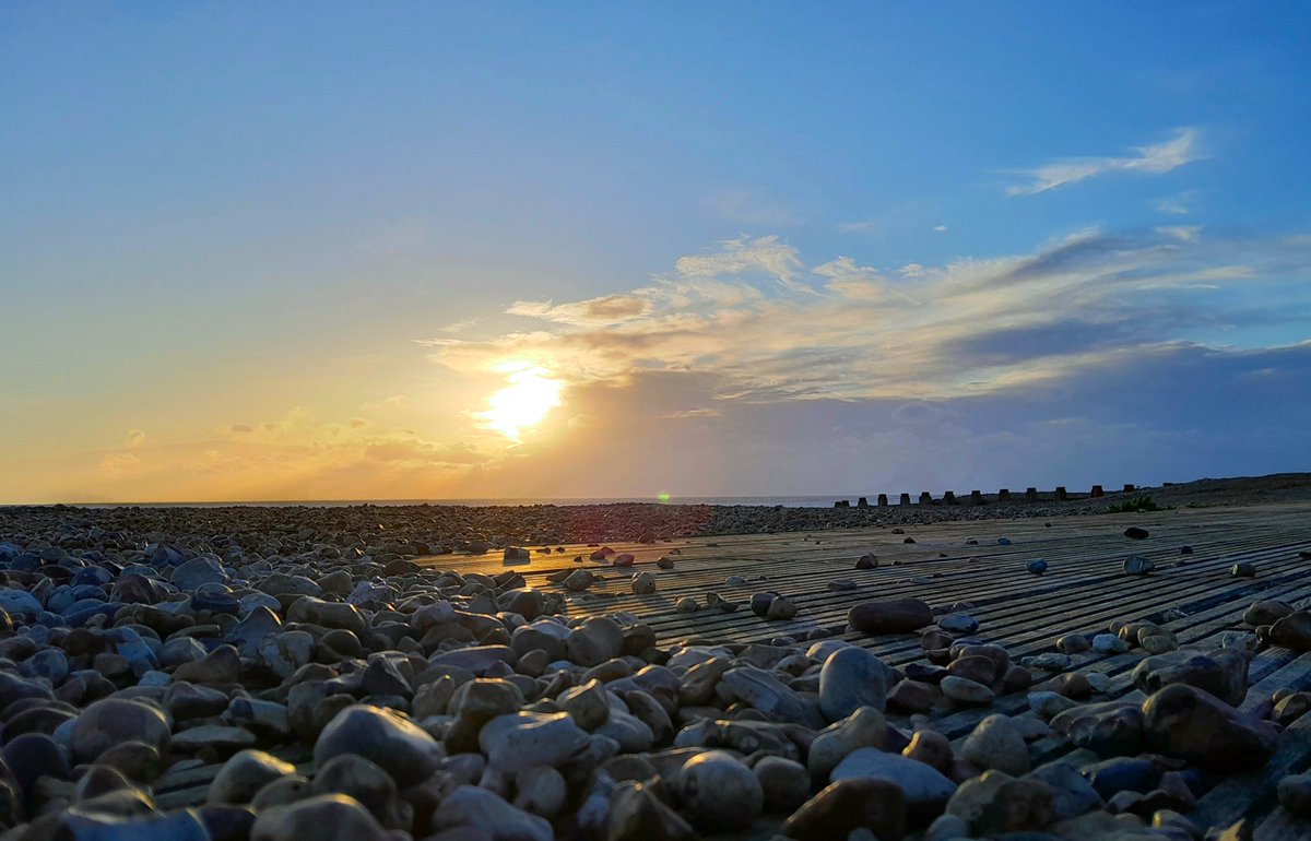 Sharing Life With Nature tweet media