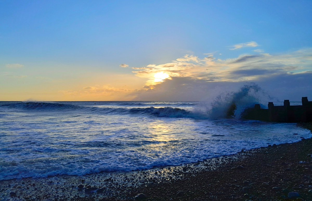 Sharing Life With Nature tweet media