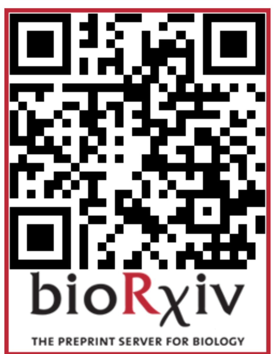 ❗️Our new paper "Local activation of Cxcl12a signaling controls olfactory placode morphogenesis in zebrafish embryos" is out 👇 BiorXiv.🙏 Thanks so much to all coauthors: fantastic people ✨️fantastic work. Math modeling to understand morphogenesis. Get in touch if interessed