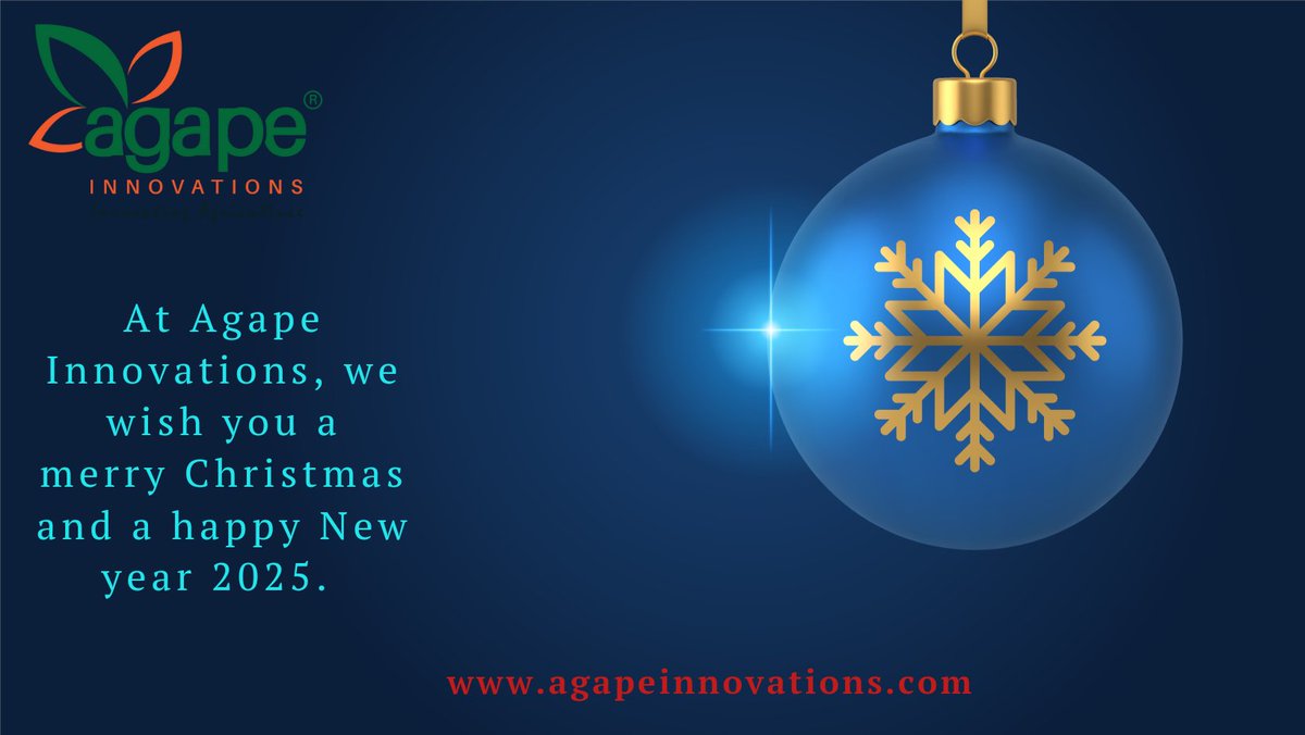 A very merry Christmas from Agape Innovations