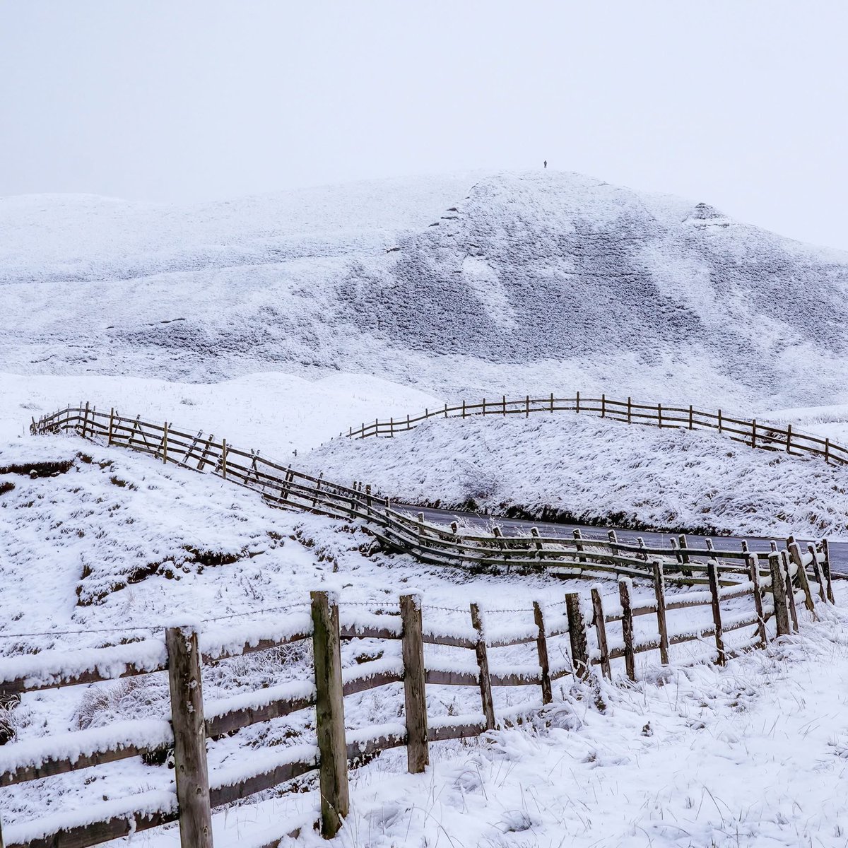 3 days to Christmas in my mini advent calendar! A different view of Mam Tor, looking up from the Vale of Edale, snow dusting every rocky ridge. I love the swooping curves of fences, and thank you to the person who stood at the summit as I took the shot, giving a sense of scale.