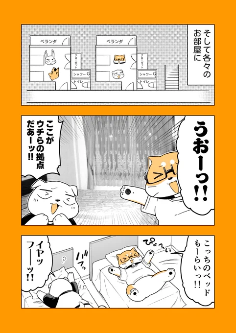 3/3 