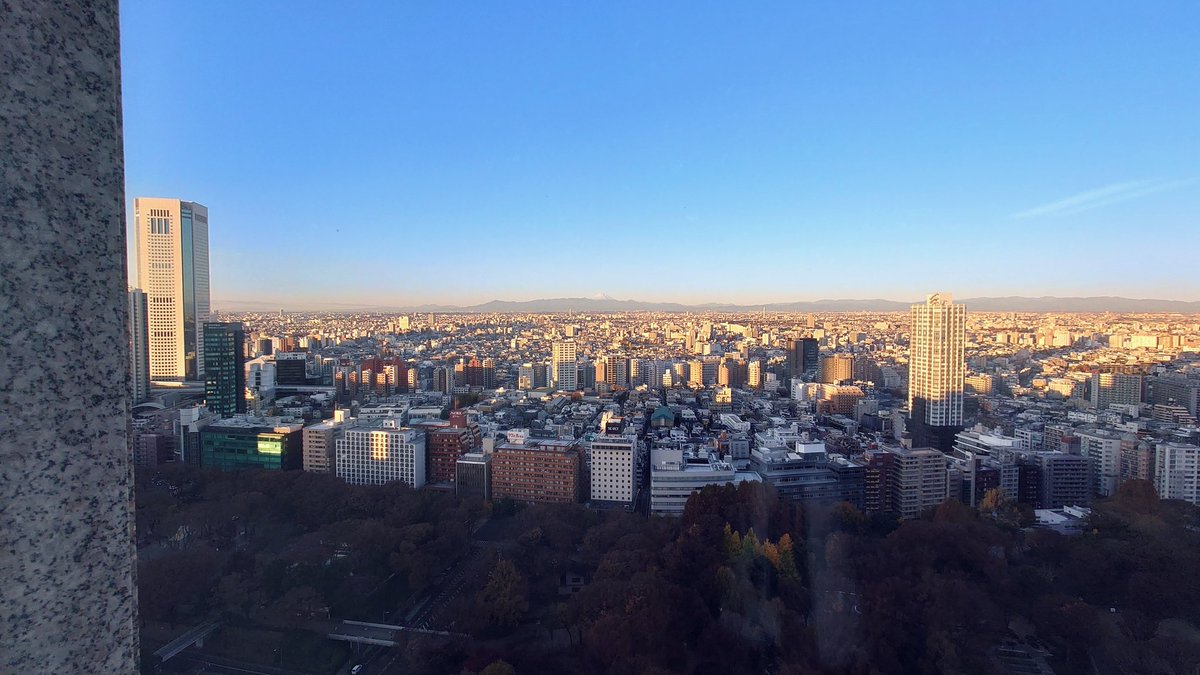 晴れ  寒い