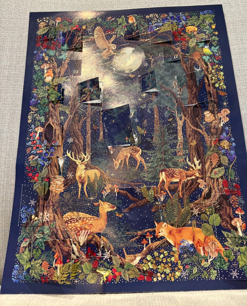 MarvellousMinds's tweet image. Day 22 of the writer&apos;s advent calendar... another escapee! (I&apos;m not good at opening the doors...)
Today&apos;s challenge is to write a dialogue between two of the creatures we&apos;ve met so far!
#AdventChallenge
#WritingCommunity 
#WinterJoy