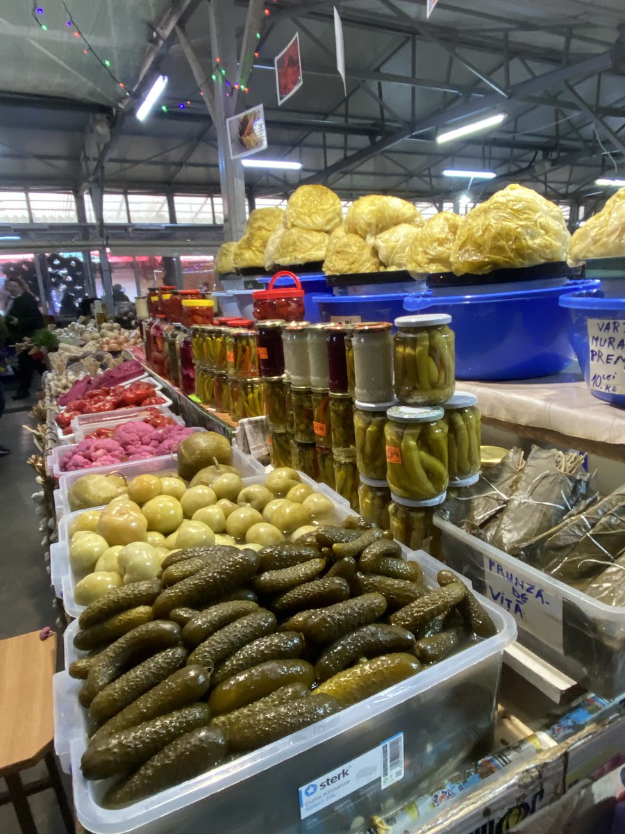 Musca tzetze tweet media