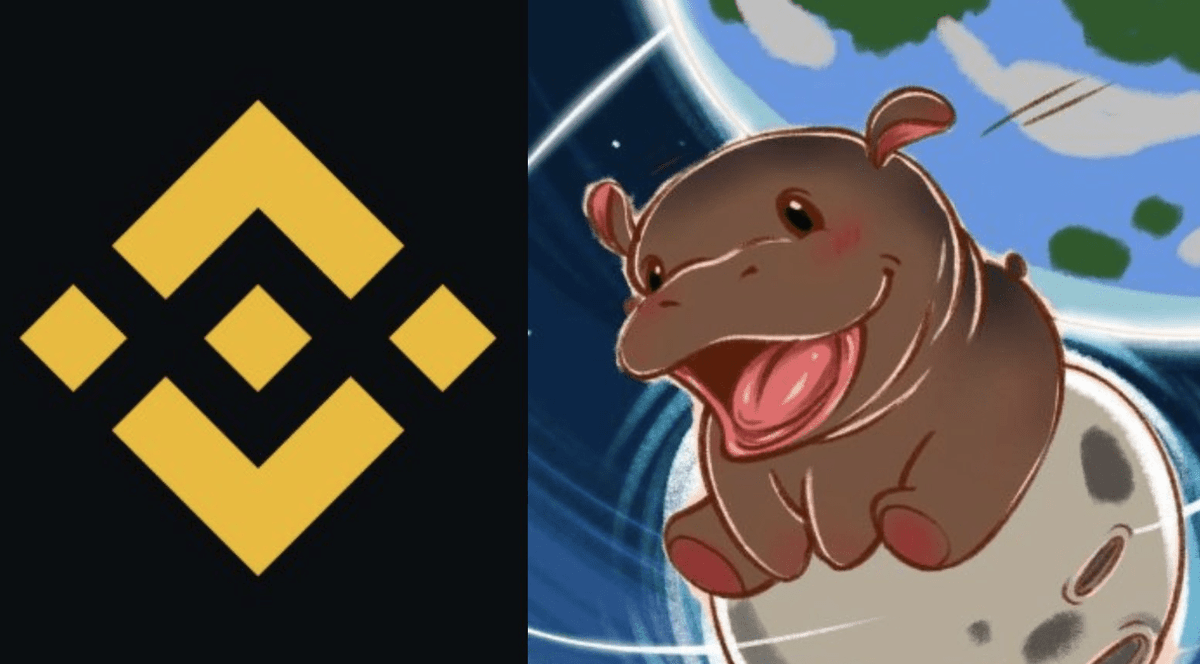greybtc's tweet photo. Buying the dip isn’t the answer because you’ll probably run out of dry powder.

Welcome to the get-rich-quick memecoin rodeo. This is exactly how it fckng plays out: the market gives so much that you get greedy until it takes it all away. Now you’re left with anger, regret, or looking for someone or something to blame.

Do not buy the dip. Don’t listen to KOLs. Here’s the fucking master plan:

Remember two months ago? You had so much belief in memecoins and the market. You were locked in, hunting for the next 1000x. You never missed a single episode of the Memecoin Show. You believed in the probability of catching a low-cap gem that would run to a billion and print generational wealth.

But today… you’re doing it all wrong. Your monkey brain is fucking consumed by fear over the little dollars you lost instead of focusing on what you can still print from this market. Trust me, $100 in the right low-cap play can make you more than you’ve ever had. What you have right now is enough to get you into the next 1000x opportunity.

Here’s what to do: stop obsessing over your portfolio balance and focus on the next fucking move. Get back to the trenches. No festive holidays, no parties, no sleep, no wasting time. The holidays are the perfect opportunity because the competition will be smaller. The bull run is still on, channel that mid-October fckng aura, and you’ll succeed by the time the market recovers.

When the mid-curves finally join the trenches, they’ll be your exit liquidity. Total inverse.

Warren Buffett style: Be greedy when others are fucking fearful.