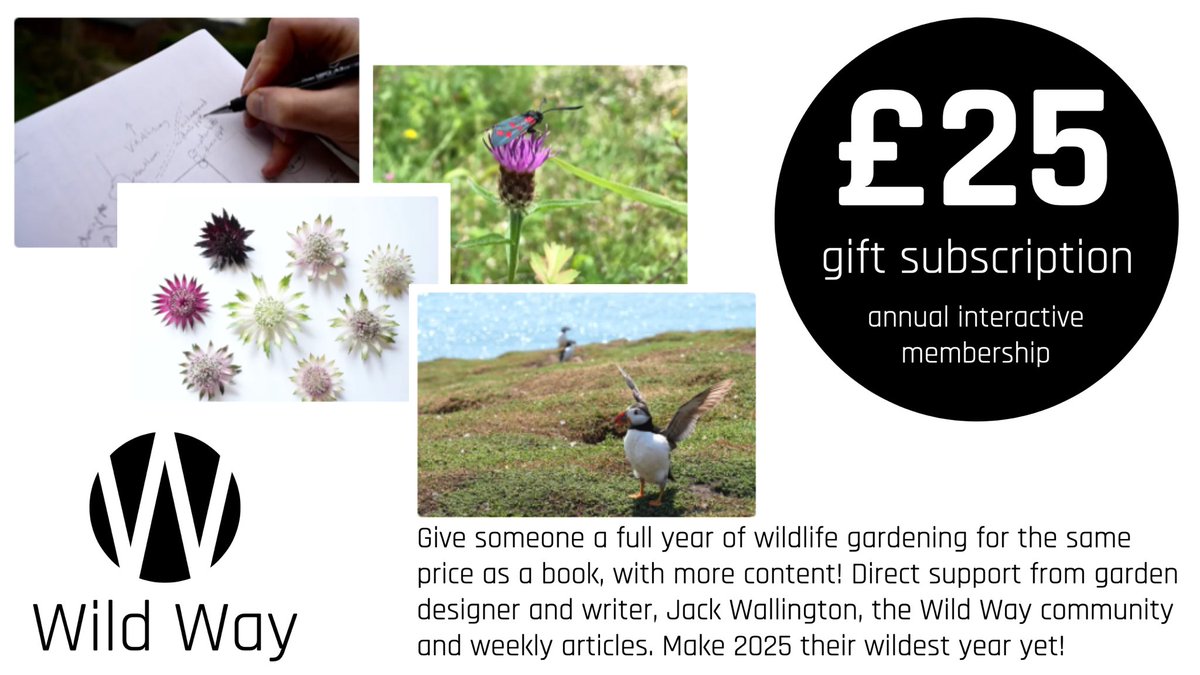 Jack Wallington tweet media