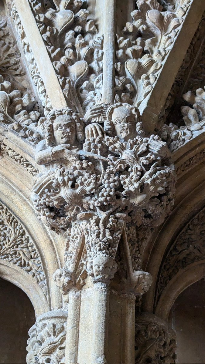 chartres_Fiona's tweet image. All Saints, Hawton is just such a stunning church and has been one of the highlights of the year for me. 
Here two boys cut grapes on the 14thC sedilia.
#SundayStonework