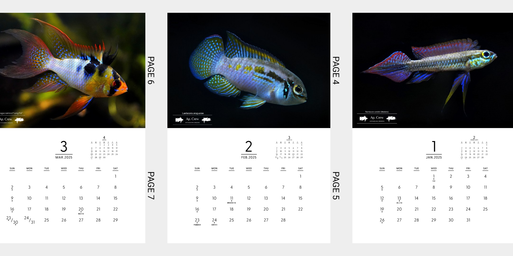 Taka_1/3 @Ap.Crew (@3Takapisto) / X