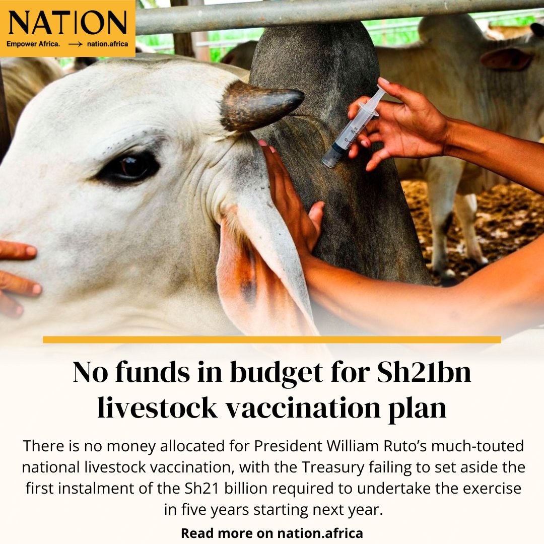No funds in budget for Sh21bn livestock vaccination plan

Read more: nation.africa/kenya/business…