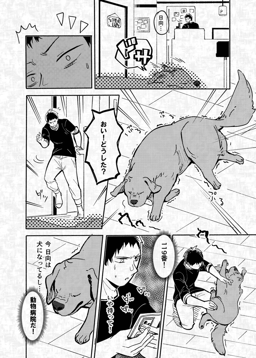 (2/9) 