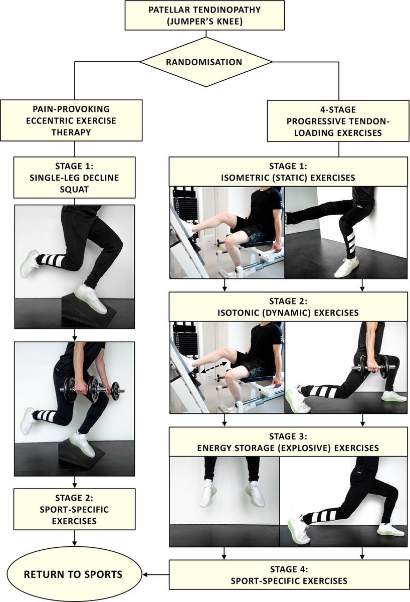 Just published 🔥

Do  physical or imaging changes explain the effectiveness of progressive  tendon loading exercises? A causal mediation analysis of athletes with  patellar tendinopathy

Spoiler: NO

👇👇👇

sciencedirect.com/science/articl…