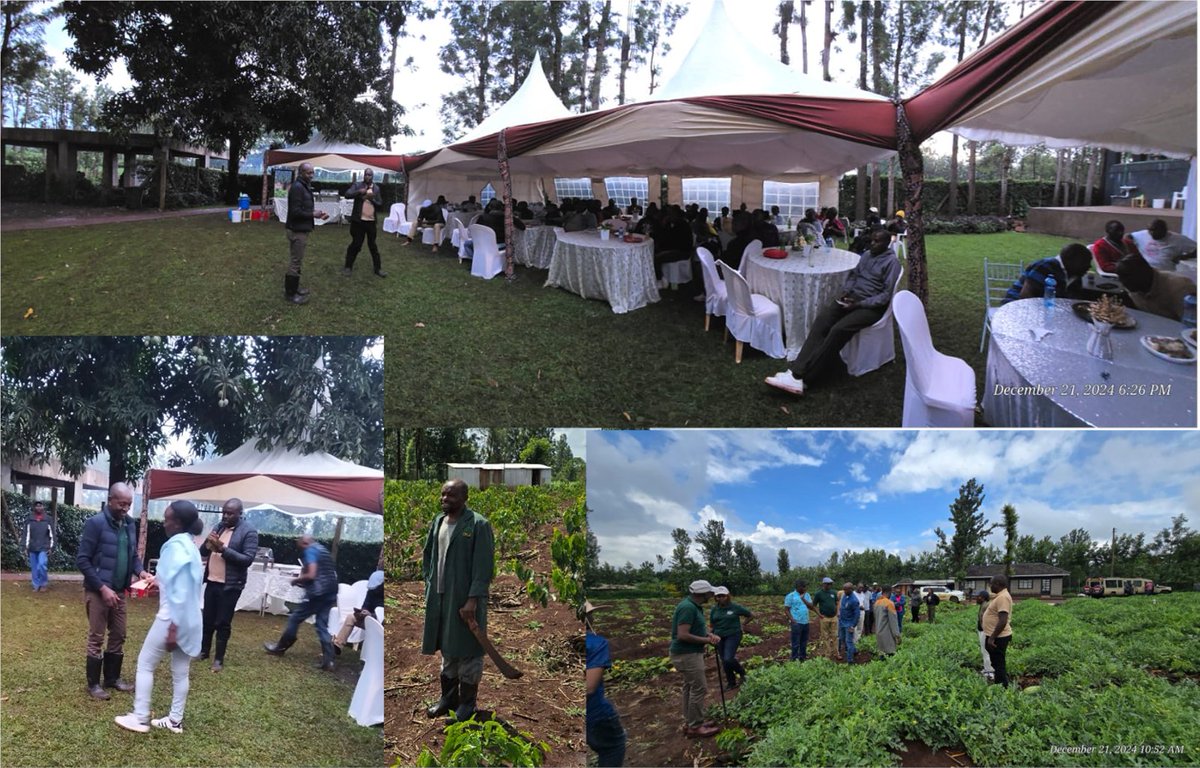 I am inspired by <a href="/AsiliEstates/">Asili Coffee</a> founder <a href="/iri_peter/">Peter Kang’iri</a> who serves Christmas meals across all our farms with CEO Prof <a href="/PatrickNgu40410/">Patrick Ngumi</a>, personally greeting every worker with a handshake and cash gift. I am proud to chair this board alongside <a href="/DKinuthia111/">DKinuthia</a> with genuine staff respect 🎅