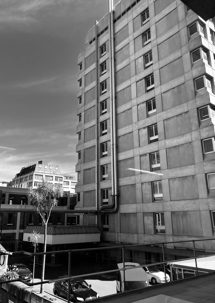 Thanks to everyone who came along to Dunedin Public Hospital on Friday for the NZ launch of my debut novel One in Three 📚 🎉 
I’m grateful for the support from family, friends &amp; colleagues - and your questions were so interesting!  🧐 📚 👨‍⚕️